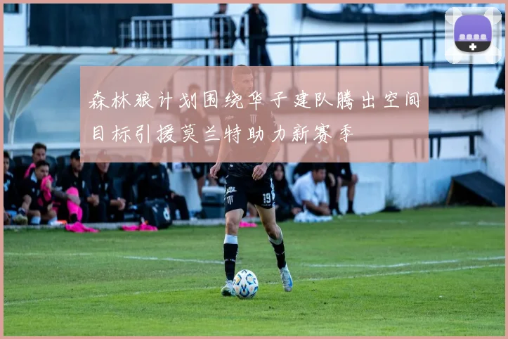 森林狼计划围绕华子建队腾出空间目标引援莫兰特助力新赛季