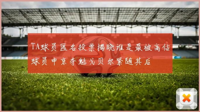 TA球员匿名投票揭晓谁是最被高估球员申京夺魁戈贝尔紧随其后